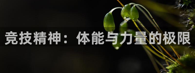 谈球吧体育官网：竞技精神：体能与力量的极限