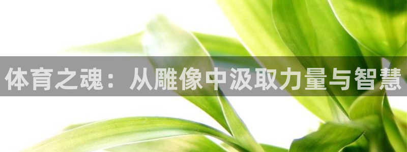 谈球吧：体育之魂：从雕像中汲取力量与智慧