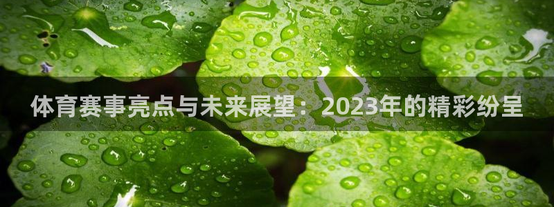 谈球吧体育官网：体育赛事亮点与未来展望：2023年的精彩纷呈