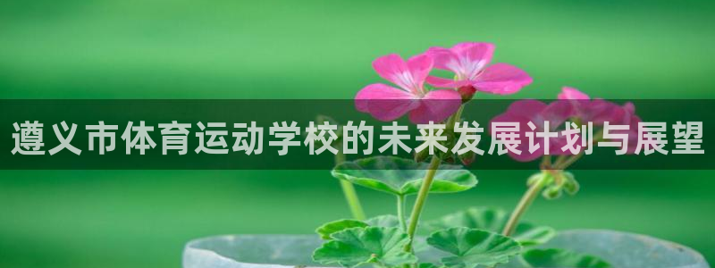 谈球吧：遵义市体育运动学校的未来发展计划与展望