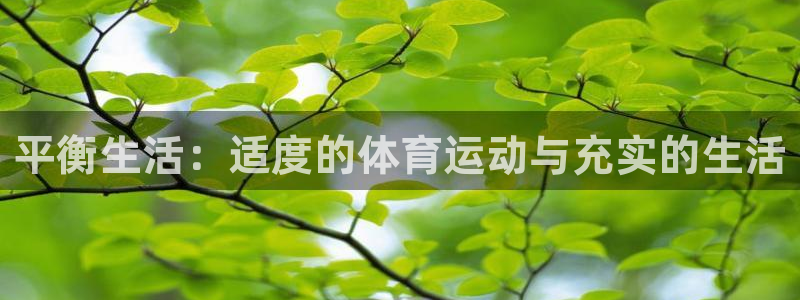 谈球吧体育官网：平衡生活：适度的体育运动与充实的生活