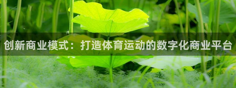 谈球吧体育：创新商业模式：打造体育运动的数字化商业平台