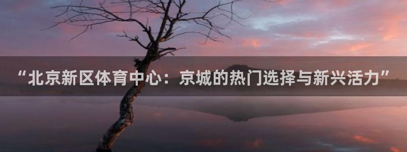 谈球吧体育官网：“北京新区体育中心：京城的热门选择与新兴活力”