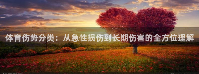 谈球吧：体育伤势分类：从急性损伤到长期伤害的全方位理解